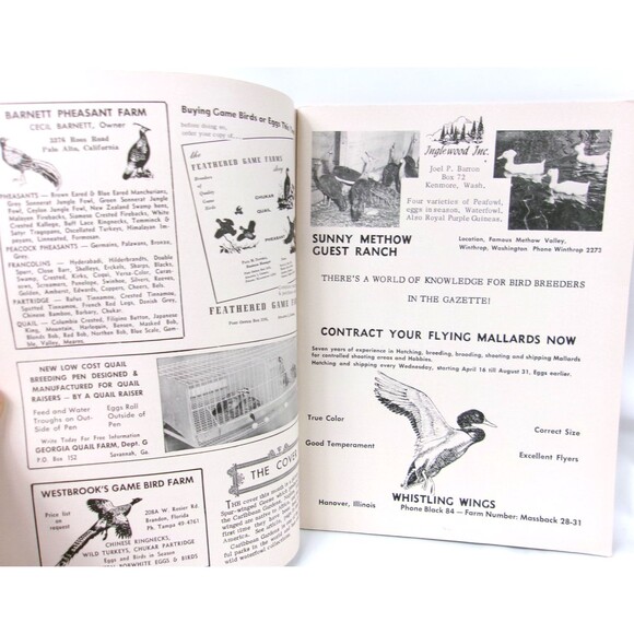 Vintage Game Bird Breeders Pheasant Fanciers Gazette Magazine May/June 1961 - Picture 3 of 4